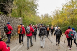 trekking degli ulivi.JPG