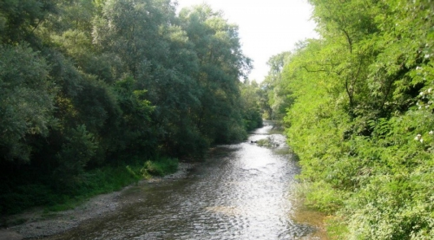 fiume liri.JPG